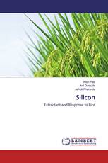 Silicon