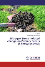 Nitrogen Stress Induced changes in Primary events of Photosynthesis