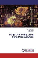 Image Deblurring Using Blind Deconvolution