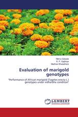 Evaluation of marigold genotypes