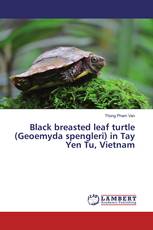 Black breasted leaf turtle (Geoemyda spengleri) in Tay Yen Tu, Vietnam