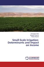 Small-Scale Irrigation: Determinants and Impact on Income
