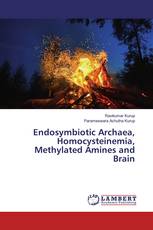 Endosymbiotic Archaea, Homocysteinemia, Methylated Amines and Brain