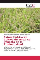 Estrés Hídrico en Cultivo de arroz, su Impacto en la Productividad