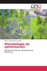 Metodología de optimización