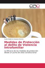 Medidas de Protección al delito de Violencia Intrafamiliar