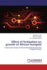 Effect of fertigation on growth of African marigold