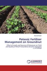 Potassic Fertilizer Management on Groundnut