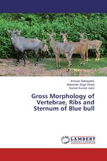 Gross Morphology of Vertebrae, Ribs and Sternum of Blue bull