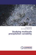 Studying multiscale precipitation variability