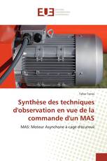 Synthèse des techniques d'observation en vue de la commande d'un MAS