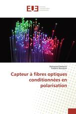 Capteur à fibres optiques conditionnées en polarisation