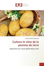 Culture in vitro de la pomme de terre