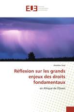 Réflexion sur les grands enjeux des droits fondamentaux