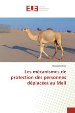 Les mécanismes de protection des personnes déplacées au Mali