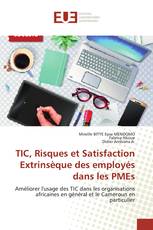 TIC, Risques et Satisfaction Extrinsèque des employés dans les PMEs