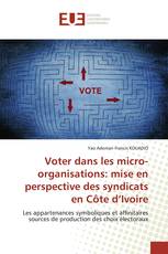 Voter dans les micro-organisations: mise en perspective des syndicats en Côte d’Ivoire