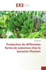 Production de différentes forme de semences chez le bananier Plantain