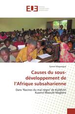 Causes du sous-développement de l’Afrique subsaharienne