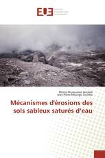 Mécanismes d'érosions des sols sableux saturés d’eau