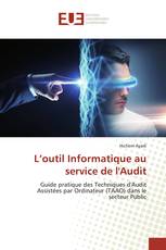 L’outil Informatique au service de l'Audit