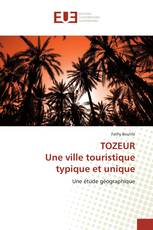 TOZEUR Une ville touristique typique et unique