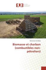 Biomasse et charbon (combustibles non-pétroliers)