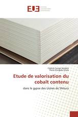 Etude de valorisation du cobalt contenu
