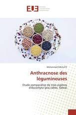 Anthracnose des légumineuses