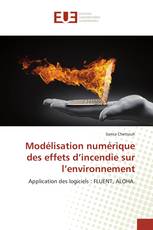 Modélisation numérique des effets d’incendie sur l’environnement