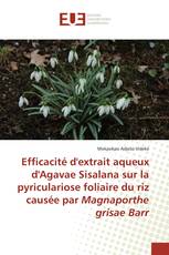 Efficacité d'extrait aqueux d'Agavae Sisalana sur la pyriculariose foliaire du riz causée par Magnaporthe grisae Barr