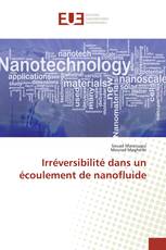 Irréversibilité dans un écoulement de nanofluide