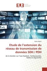 Etude de l’extension du réseau de transmission de données SDH / PDH