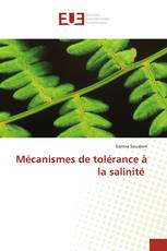 Mécanismes de tolérance à la salinité