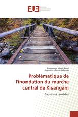 Problématique de l'inondation du marche central de Kisangani