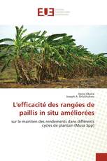 L'efficacité des rangées de paillis in situ améliorées