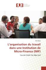 L’organisation du travail dans une Institution de Micro-Finance (IMF)