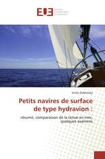 Petits navires de surface de type hydravion :