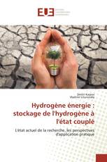 Hydrogène énergie : stockage de l'hydrogène à l'état couplé