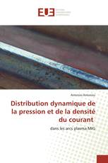 Distribution dynamique de la pression et de la densité du courant