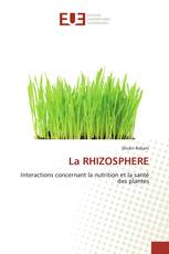 La RHIZOSPHERE