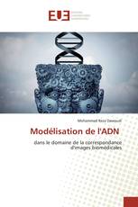 Modélisation de l'ADN