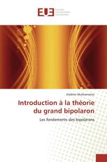 Introduction à la théorie du grand bipolaron