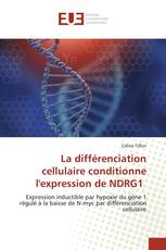 La différenciation cellulaire conditionne l'expression de NDRG1