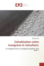 Cohabitation entre mangrove et riziculture: