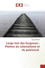 Large mer des Sargasses : Thèmes du colonialisme et du patriarcat
