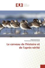 Le cerveau de l'histoire et de l'après-vérité