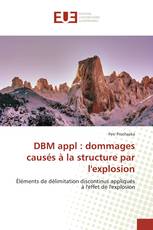 DBM appl : dommages causés à la structure par l'explosion