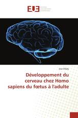 Développement du cerveau chez Homo sapiens du fœtus à l'adulte