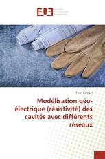 Modélisation géo-électrique (résistivité) des cavités avec différents réseaux
